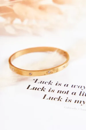 Tērauda aproce ar kubveida cirkoniju zelta Lauren