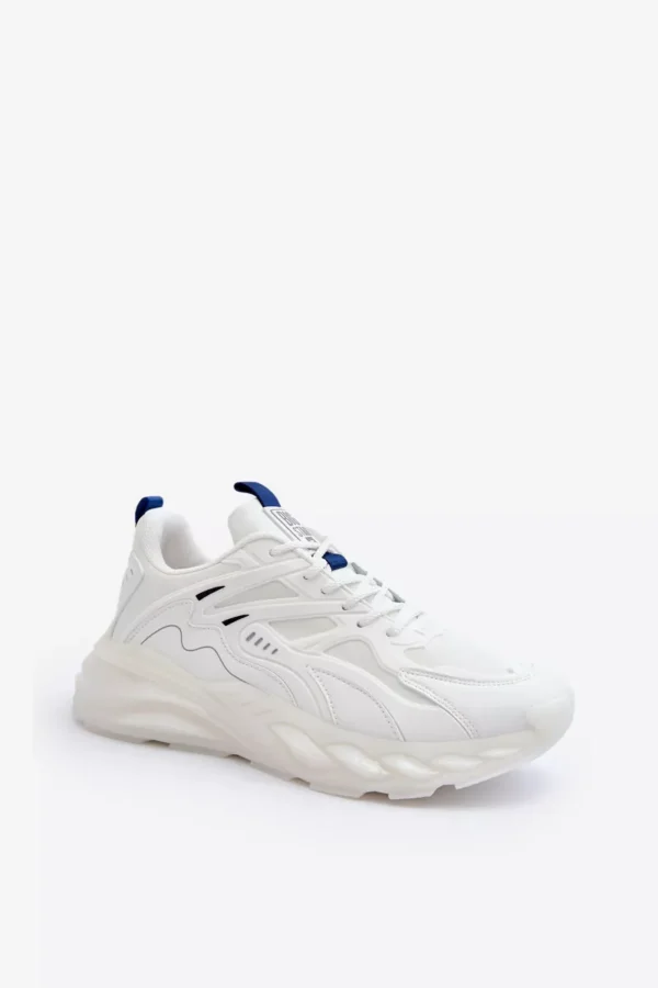 0 30731 1 optimized